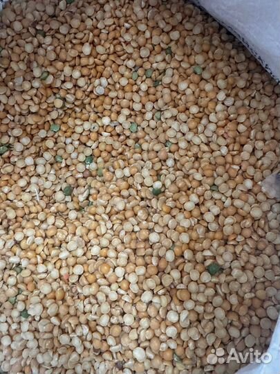 Горох колотый