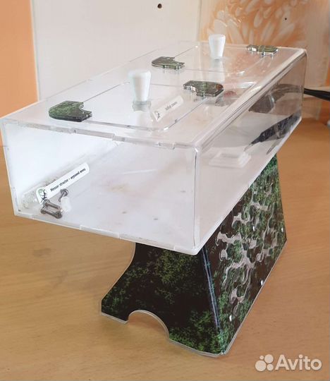 Формикарий для муравьев