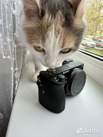 Sony alpha 6500