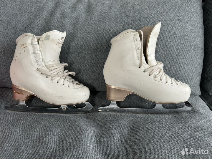 Фигурные коньки edea chorus 230