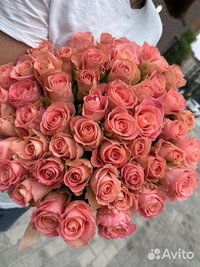 Роза 51шт, 60см.Доставка Калининград