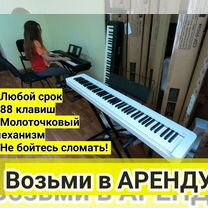 Синтезатор Casio аренда/продажа