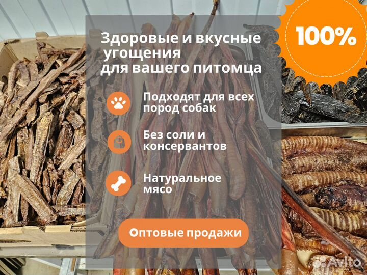 Сушёные лакомства для собак оптом