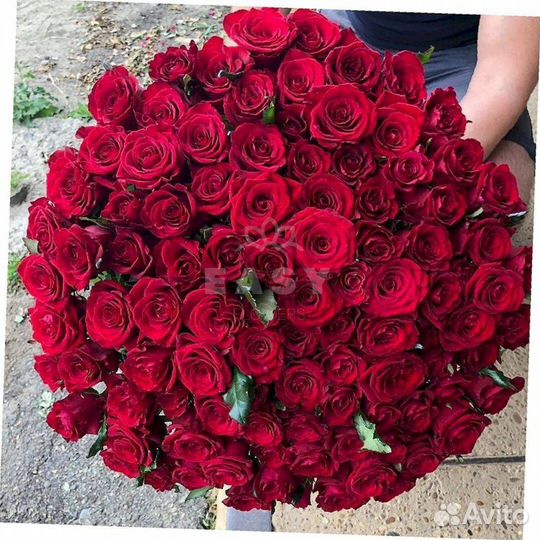 101 роза розы