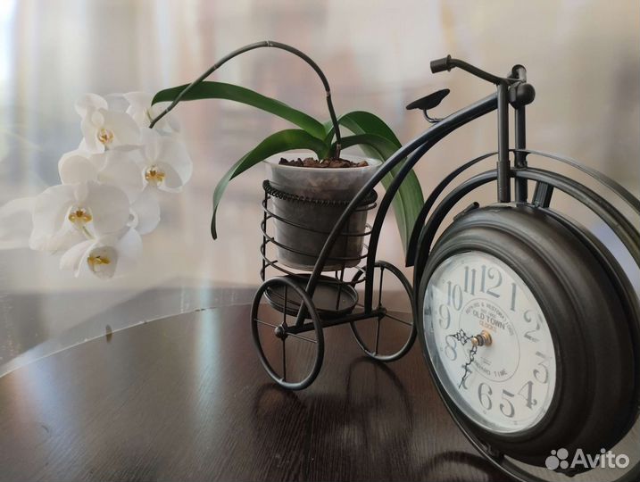 Часы подставка под цветы