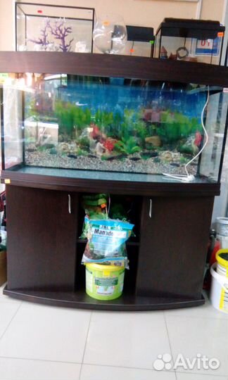 Панорамные аквариумные комплексы