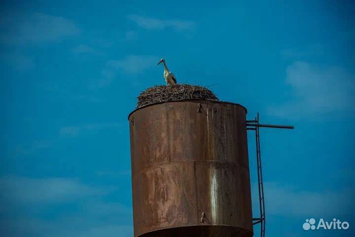 Сельский туризм,отдых на природе, агротуризм