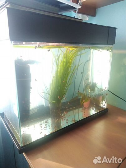 Аквариум