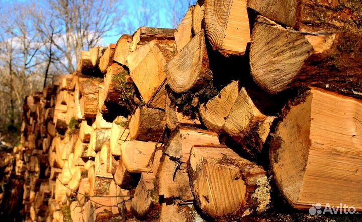 Дрова в город