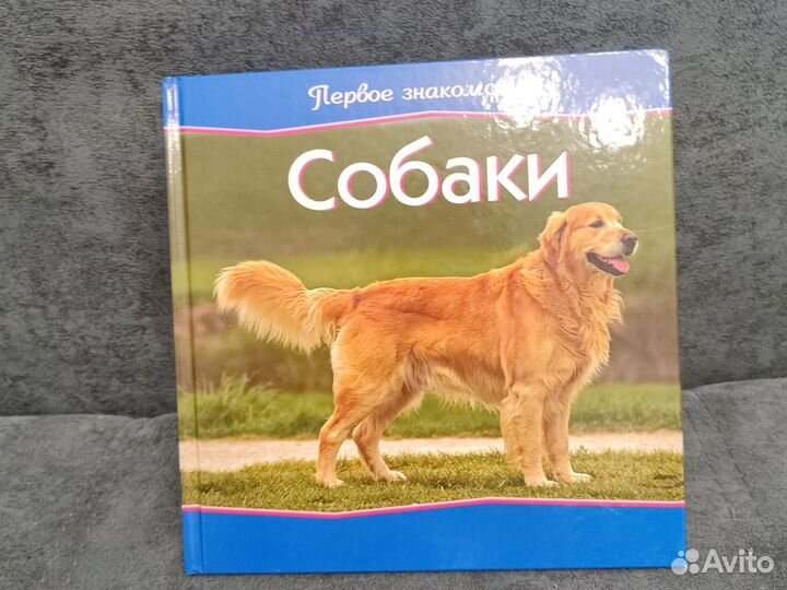 Детские энциклопедии