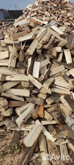 Дрова береза