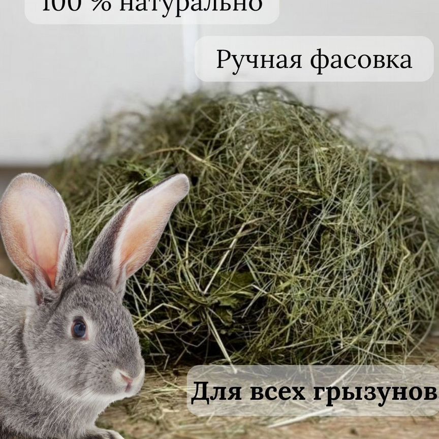 Сено для грызунов