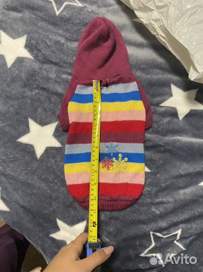 Одежда для маленьких собак