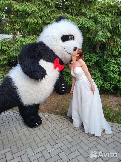 Белый мишка, бурый, панда, зайка