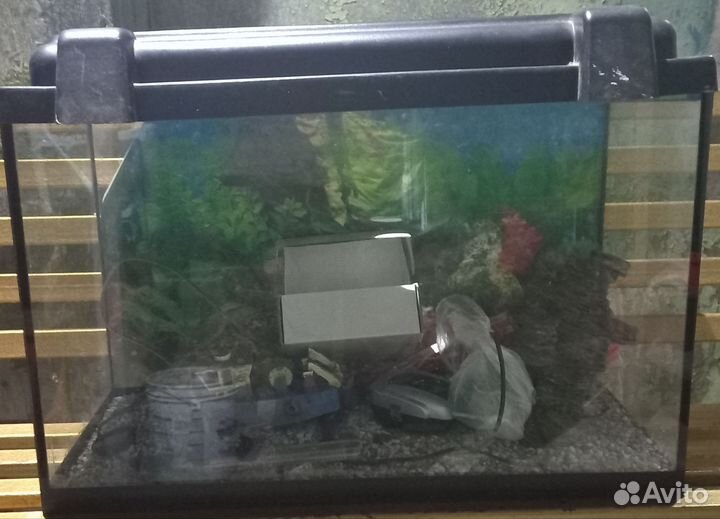 Аквариум