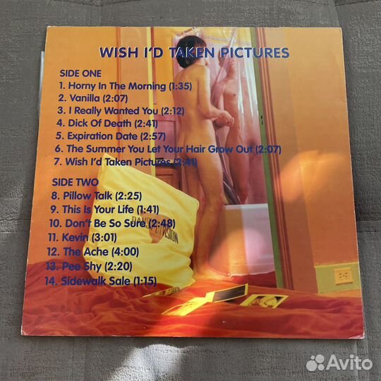 Pansy Division - Wish I’d Taken pictures Рок