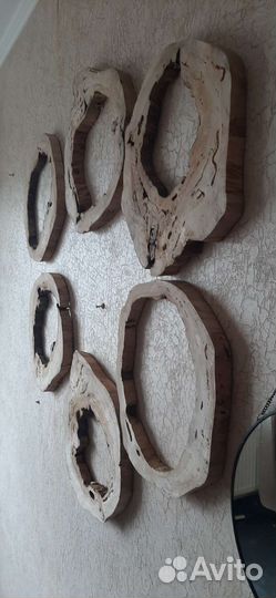 Спилы дерева