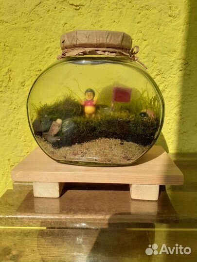 Флорариум. Замкнутая экосистема. Подарок