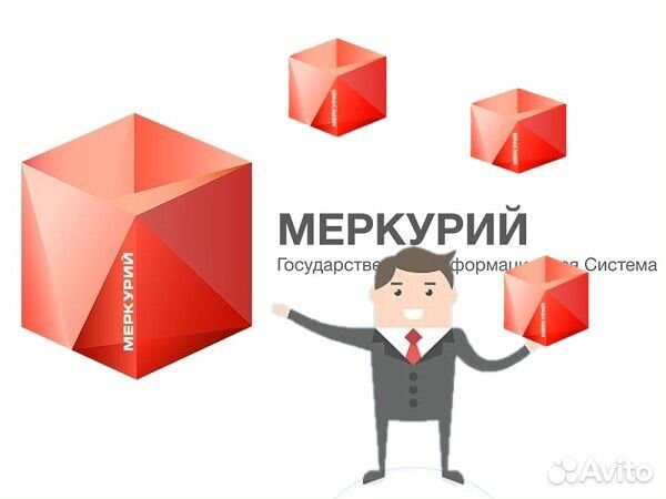 Фгис меркурий