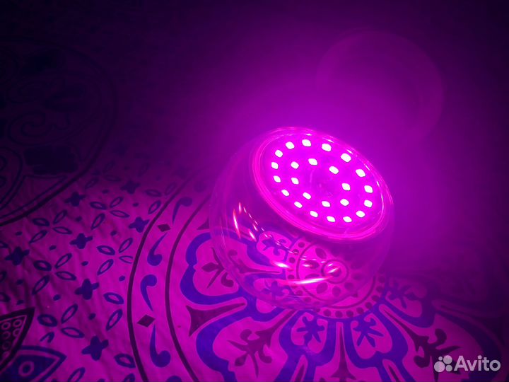 Фитолампа для рассады и растений