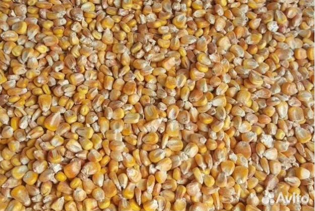 Зерносмесь
