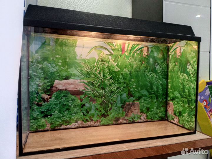 Аквариум 70 литров со всеми аксессуарами