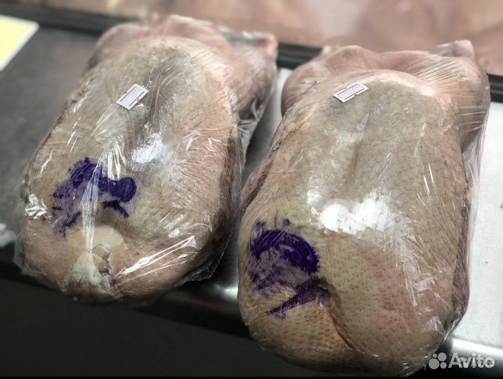 Утки Муларды/Свежие/Халяль в Агропарке Казань