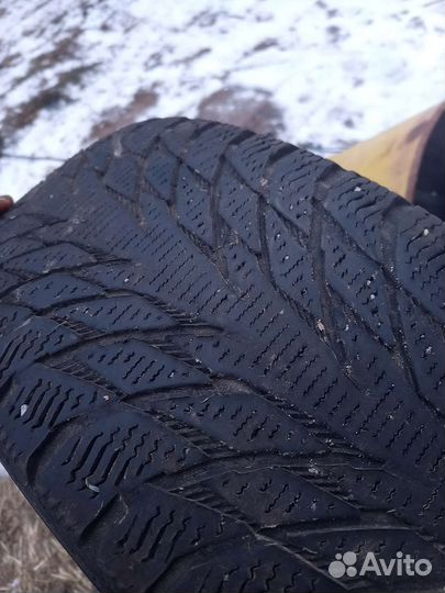 Accelera Epsilon 215/60 R16 27L