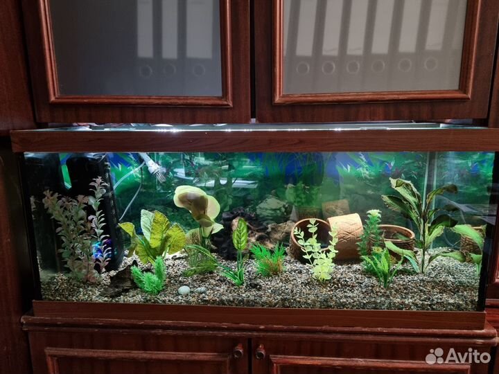 Аквариум с фильтрами, аэрацией и декором