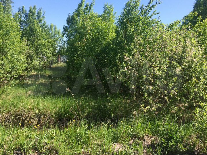 Участок 8,5 сот. (СНТ, ДНП)
