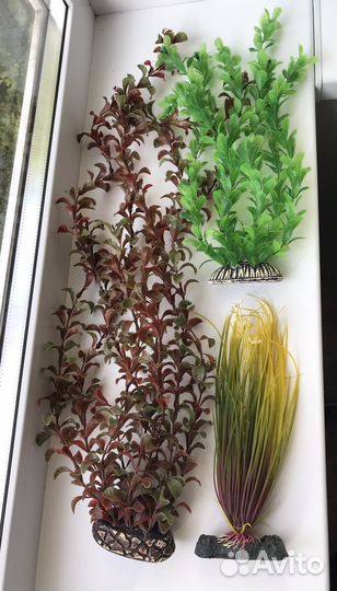 Аквариумные растения искусственные