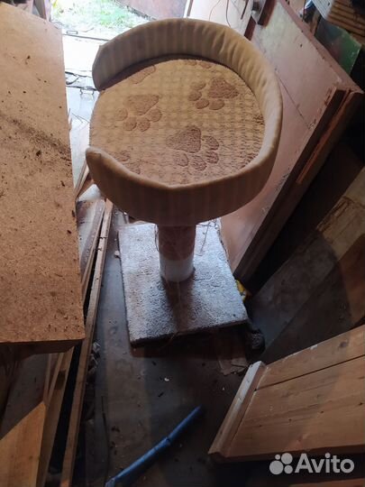 Когтеточка