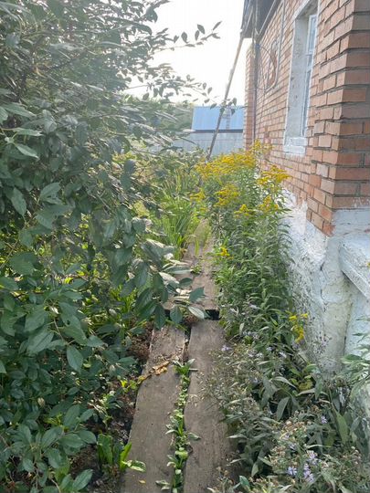 Дом 41,9 м² на участке 3 сот.