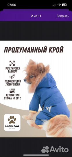 Дождевик для маленькой/средней собаки