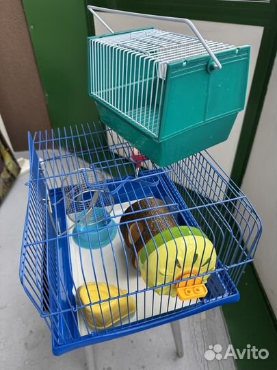 Клетка для джунгарского хомяка