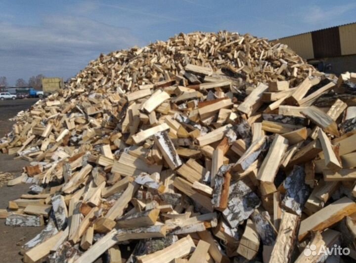 Дрова березовые