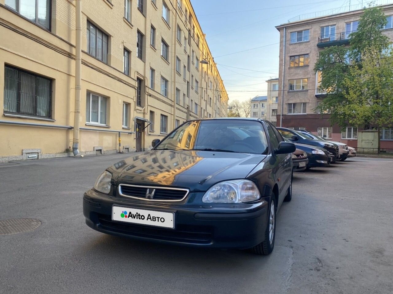 Honda Civic: фото владельца