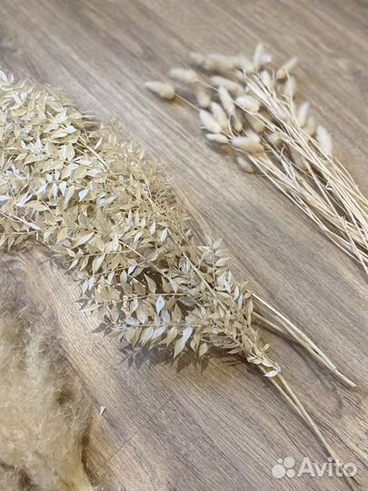 Сухоцветы (пампасная трава, Лунария)