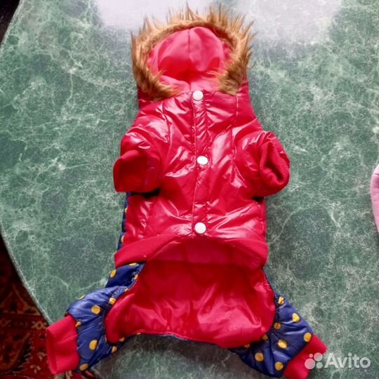 Зимняя одежда для собак мелких пород