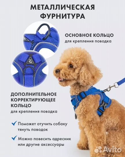 Шлейка для собаки
