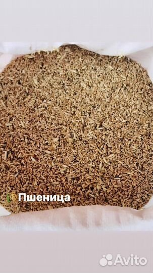 Комбикорм для животных