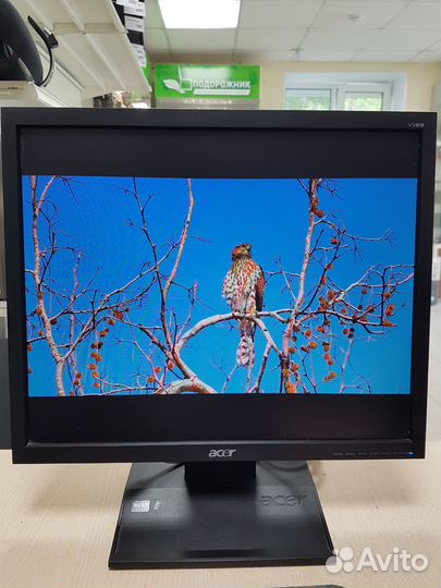 Монитор Acer V193b 19