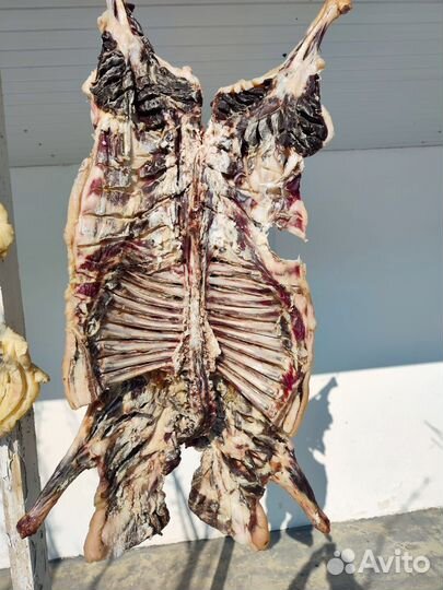 Сушеное мясо баранина