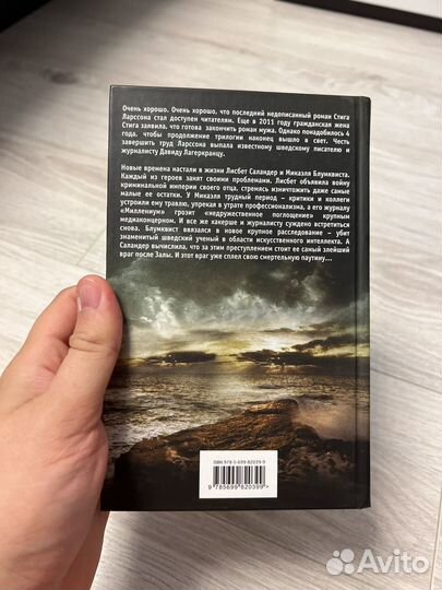 Книга - Девушка которая застряла в паутине