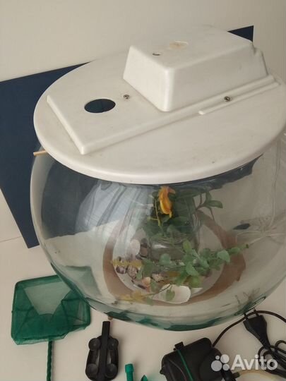 Аквариум стеклянный круглый на 10 литров