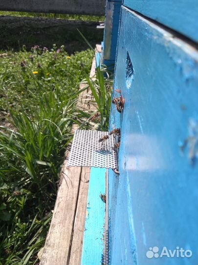 Мед очень вкусный