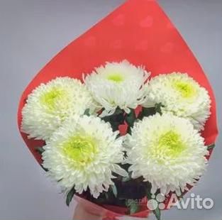 Хризантемы Белые Букет
