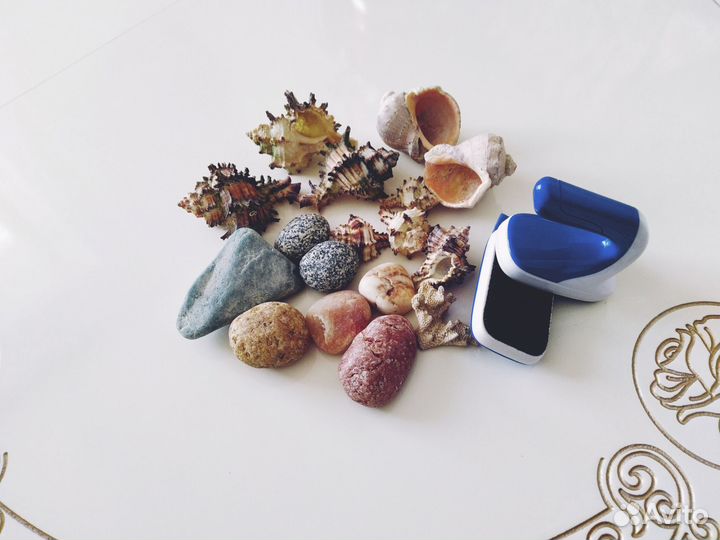 Морские ракушки,магнитная щётка