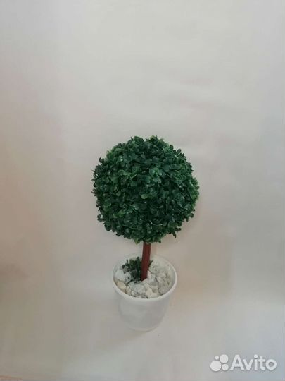 Шар самшитовый, высота30, 50,40 см