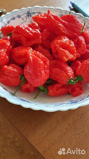 Перец королина рипер